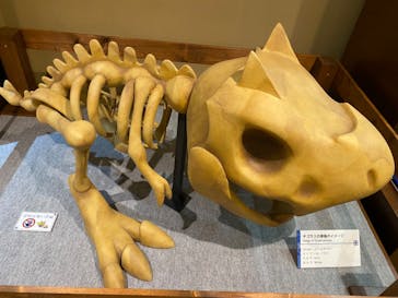 国立科学博物館　特別企画展「ポケモン化石博物館」に投稿された画像（2022/6/3）