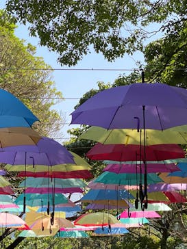 ニューヨークランプミュージアム＆フラワーガーデンに投稿された画像（2022/6/3）