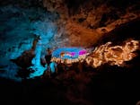 石垣島鍾乳洞に投稿された画像（2022/6/3）