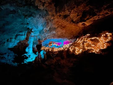 石垣島鍾乳洞に投稿された画像（2022/6/3）