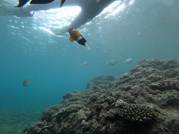 武藤潜水に投稿された画像（2022/6/3）