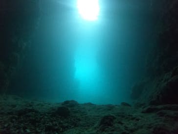 武藤潜水に投稿された画像（2022/6/3）