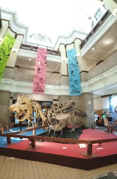 国立科学博物館　特別企画展「ポケモン化石博物館」に投稿された画像（2022/6/3）