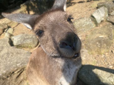 伊豆シャボテン動物公園に投稿された画像（2022/6/3）