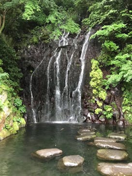 箱根湯本温泉 天成園に投稿された画像（2022/6/3）