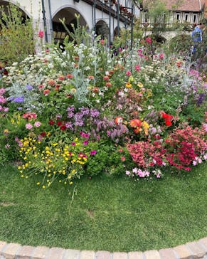 神戸布引ハーブ園／ロープウェイに投稿された画像（2022/6/3）