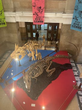 国立科学博物館　特別企画展「ポケモン化石博物館」に投稿された画像（2022/6/3）