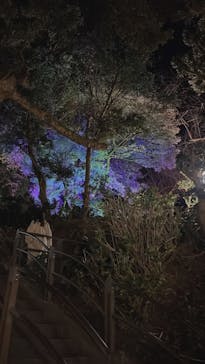 江の島シーキャンドルに投稿された画像（2022/6/4）