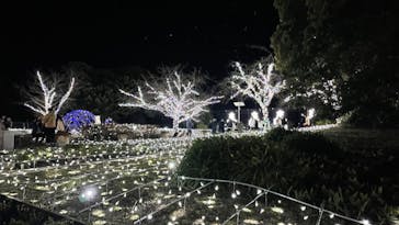 江の島シーキャンドルに投稿された画像（2022/6/4）