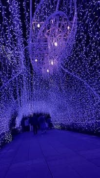 江の島シーキャンドルに投稿された画像（2022/6/4）