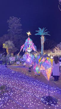 江の島シーキャンドルに投稿された画像（2022/6/4）