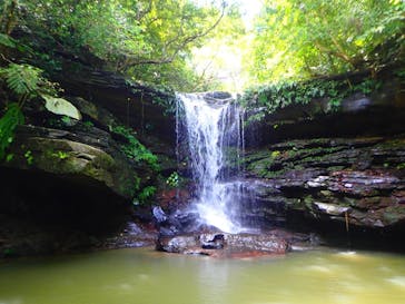 西表島 ADVENTURE PiPi（アドベンチャーピピ）に投稿された画像（2022/6/4）