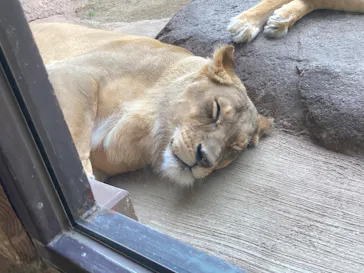 天王寺動物園に投稿された画像（2022/6/4）