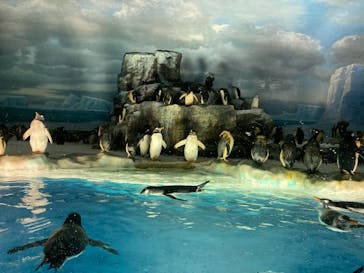 名古屋港水族館に投稿された画像（2022/6/4）