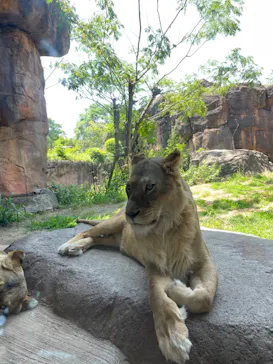 天王寺動物園に投稿された画像（2022/6/4）
