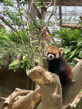 神戸どうぶつ王国に投稿された画像（2022/6/4）