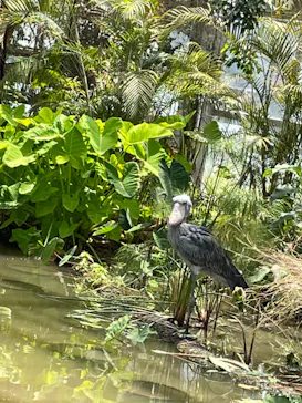 神戸どうぶつ王国に投稿された画像（2022/6/4）