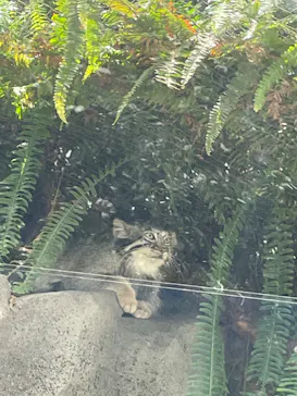 神戸どうぶつ王国に投稿された画像（2022/6/4）