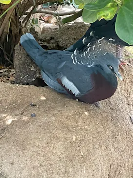 神戸どうぶつ王国に投稿された画像（2022/6/4）