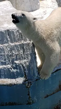 天王寺動物園に投稿された画像（2022/6/4）
