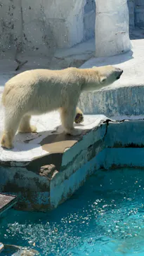 天王寺動物園に投稿された画像（2022/6/4）
