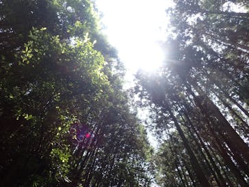 Verde Odai（ベルデオオダイ）に投稿された画像（2022/6/4）