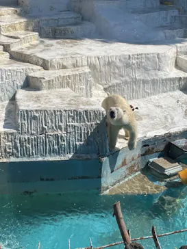 天王寺動物園に投稿された画像（2022/6/4）