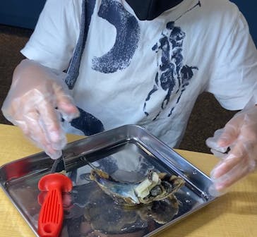 三重県真珠に投稿された画像（2022/6/4）