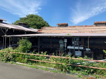 海女小屋はちまんかまどに投稿された画像（2022/6/4）