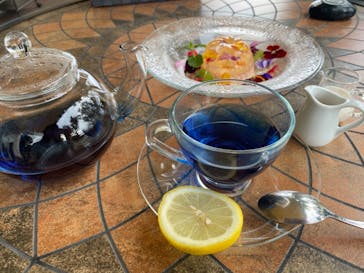 ニューヨークランプミュージアム＆フラワーガーデンに投稿された画像（2022/6/4）