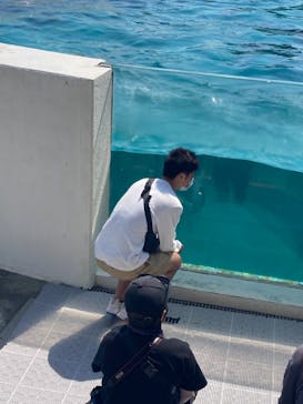 鴨川シーワールドに投稿された画像（2022/6/4）