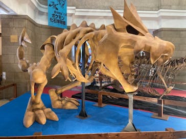 国立科学博物館　特別企画展「ポケモン化石博物館」に投稿された画像（2022/6/4）