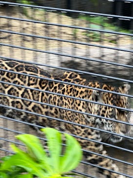 沖縄こどもの国に投稿された画像（2022/6/4）