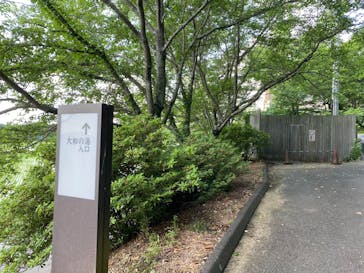 成田の命泉　大和の湯に投稿された画像（2022/6/4）