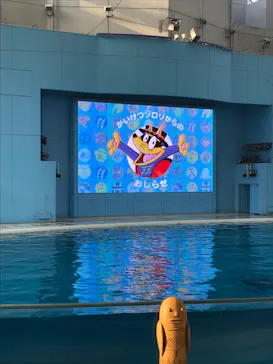 横浜・八景島シーパラダイスに投稿された画像（2022/6/4）