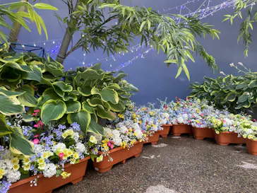 ひらかたパークに投稿された画像（2022/6/4）