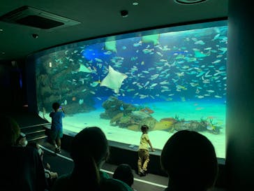 サンシャイン水族館に投稿された画像（2022/6/4）