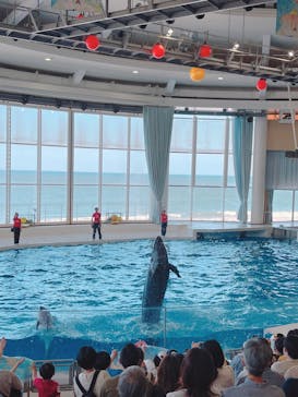 アクアワールド茨城県大洗水族館に投稿された画像（2022/6/4）