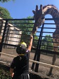 宇都宮動物園に投稿された画像（2022/6/4）