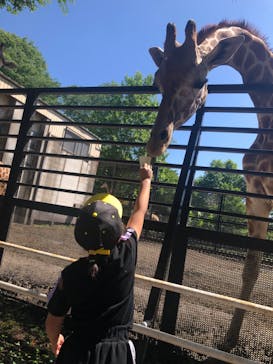 宇都宮動物園に投稿された画像（2022/6/4）