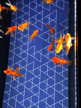 すみだ水族館に投稿された画像（2022/6/4）