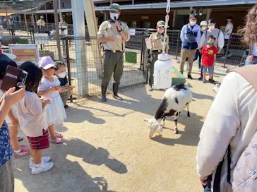 天王寺動物園に投稿された画像（2022/6/4）
