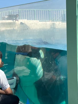 鴨川シーワールドに投稿された画像（2022/6/4）