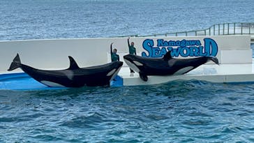 鴨川シーワールドに投稿された画像（2022/6/4）