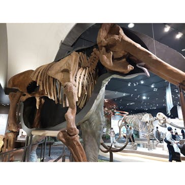 滋賀県立琵琶湖博物館に投稿された画像（2022/6/4）