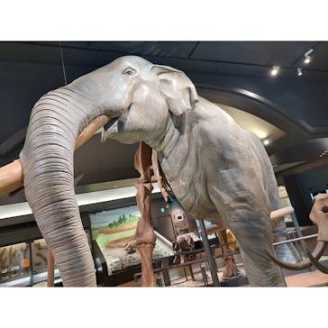 滋賀県立琵琶湖博物館に投稿された画像（2022/6/4）