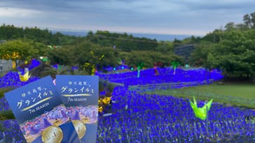 伊豆ぐらんぱる公園に投稿された画像（2022/6/4）