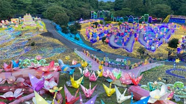 伊豆ぐらんぱる公園に投稿された画像（2022/6/4）