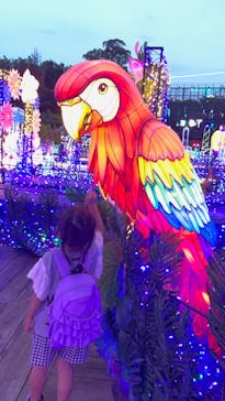 伊豆ぐらんぱる公園に投稿された画像（2022/6/4）