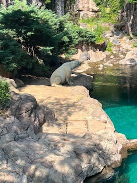 よこはま動物園ズーラシアに投稿された画像（2022/6/4）
